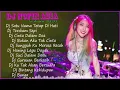 Download Lagu Dj Nofin Asia Terbaru Remix Full Non Stop!!!