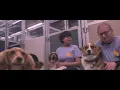 Brooklyn s Pawsability Dog Club empowers autistic adults