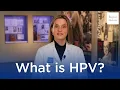What is HPV