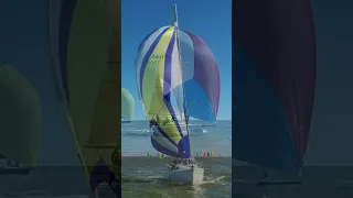 Downwind on the Bay #shorts #wind