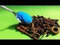 Lagu New Inventions That Not Many People Know! Effective Ways To Remove Rust