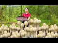 Download Lagu TIMELAPSE - Harvesting 1000+Kg Wild Mushroom Goes To Market Sell | Farm Life