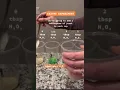 How to Do a Fun Simple Enzyme Experiment
