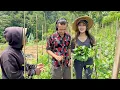 Download Lagu HASIL PANEN MELIMPAH !! BERKAT SENTUHAN TANGAN PETANI MAGELANG !!