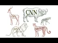AMMI Course Geometric Deep Learning - Lecture 1 Introduction