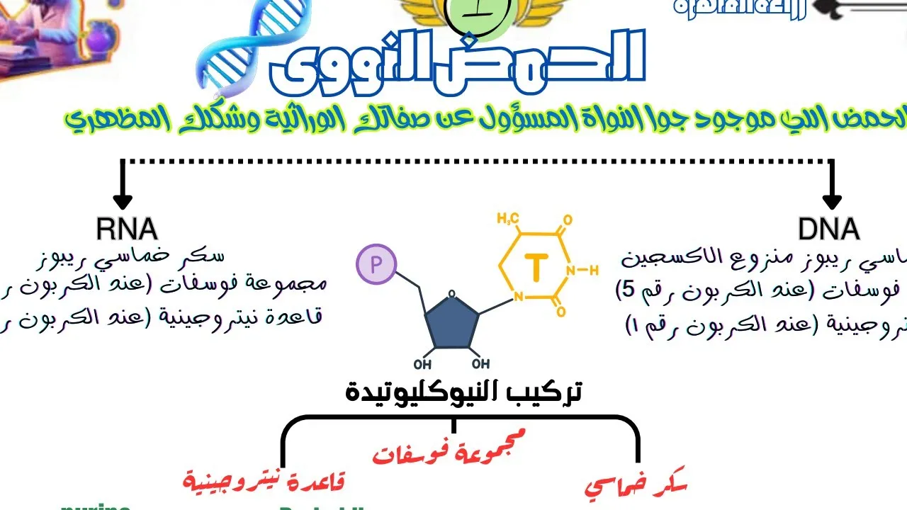 مراجعة فاينال الكيمياء الحيوية زراعة القاهرة 2026