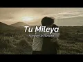 Tu Mileya (Slowed & Reverb) |Akhil Sachdeva | T-Series |Tarun Kinra & Khushi Saraswat Soulful Vibes🎧