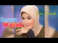 Download Lagu SERAUT WAJAH - Evie Tamala