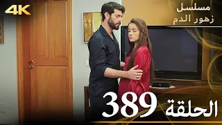 الحلقة 389 مسلسل زهور الدم مدبلج بالعربية Kan Çiçekleri جودة 4K 