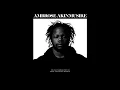 Ambrose Akinmusire - Roy - on the tender spot of every calloused moment
