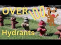 Amazing Fire Hydrant Collection in Topeka