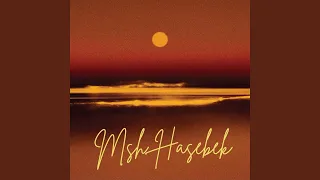 MSH Haseebek Feat ZEINA 