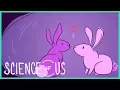 Is Hook-Up Culture Real The Science of Us Episode 12