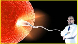 زيادة الحيوانات المنوية وكمية السائل المنوي دكتور جودة محمد عواد 