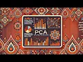 Scenario - Principal Component Analysis PCA for Business Simplifying Customer Data