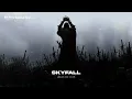 Skyfall - Adele (slowed + reverb)