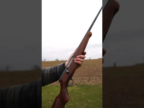 Mossberg 173 bolt action .410 Shotgun