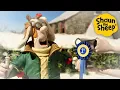 Download Lagu 1st Prize! 🐑 Shaun the Sheep 🐑  - Cartoons for Kids 🐑 Full Episodes Compilation [1 hour]