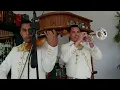 El Mariachi Alazán - Hermoso Cariño (Vicente Fernández)