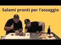 Download Lagu Ready Salamis Let's Taste Them