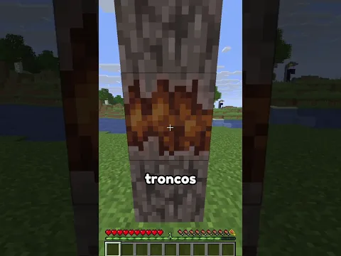 La trampa de resina en Minecraft
