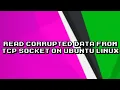 Recovering Corrupted TCP Socket Data on Ubuntu Linux