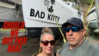 Bad Kitty Pre Buy