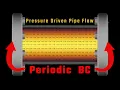 Pressure Driven Pipe Flow Simulation in Python Hagen-Poiseuille Profile