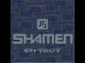 The Shamen Move Any Mountain