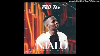 pro tee abafana feat lui u0026 king saiman 