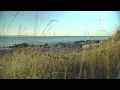 N°087 - relaxdaily (Instrumental Background Music - calm, positive, light)
