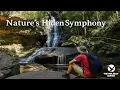 Exploring Valley of the Waters - Hidden Gem of Wentworth Falls