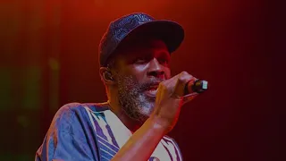 steel pulse selwyn brown dont be afraid legendado
