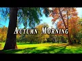 Download Lagu POSITIVE Energy for the Day 🌞 Healing Frequency Autumn Vibes 🍂 Relaxing Morning Ambient Meditation