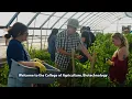 Workforce development through hands-on learning