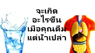 การดื่มน้ำเปล่าแทนเครื่องดื่มอื่นๆ มีผลต่อสุขภาพหัวใจอย่างไร