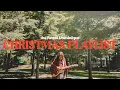 Download Lagu the Reneé Dominique Christmas mini playlist '22