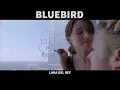 Lana Del Rey - Bluebird (Lyrics Music Video)