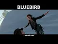 Download Lagu Lana Del Rey - Bluebird (Music Video)