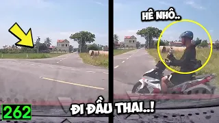 Tin Việt 2026 Mới Nhất | Những Thằng Ngu Nhất Hành Tinh Hài Cười Vỡ Bụng ( P262) 🔴