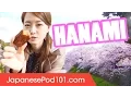 Download Lagu Cherry Blossoms in Japan: From Sakura to Hanami!