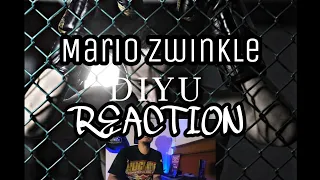 Download Mario Zwinkle - DIYU | REACTION MP3