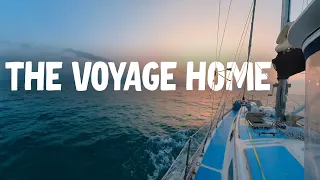 The Voyage Home (extended cut)