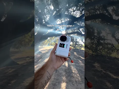 Is Nature the greatest artist? 🌿 Shot with the @insta360  #AcePro2White.