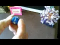 Leo Lottery Lucky Numbers Pick 2 Pick 3 Pick 4 October 1-15