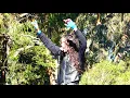 Download Lagu 070 Shake, \