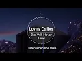 Download Lagu Loving Caliber - She Will Never Know(lyrics)