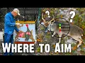 Where to Aim Best Shot Placement on Deer 834