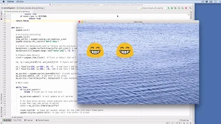 PyGame draw cycle flip sprites and dirty sprites for speed