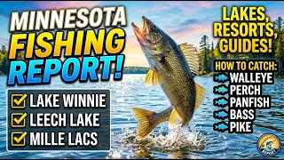 Minnesota Fishing Report - Mille Lacs Lake Leech Lake and Lake Winnie 08-07-26